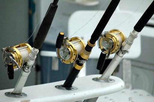 Toadfish Rod and Reel Selection